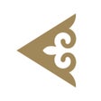 Icon of program: Air Astana