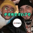 プログラムのアイコン：CNFans Eliminar aviso de …