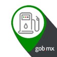 Icon of program: Gasoapp