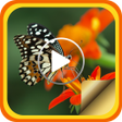 程序图标:Movie Maker - Slideshow M…