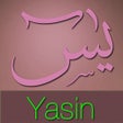 Programikonen: Yasin