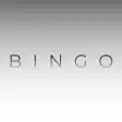 Programın simgesi: Bingo IRL - Real Life Bin…
