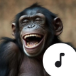プログラムのアイコン：Monkey Sounds