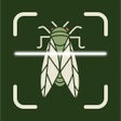 Ícone do programa: Bug Insect Identification