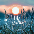 程序图标：Life quotes