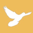 程序图标：MyPigeon App