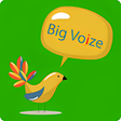 أيقونة البرنامج: Big Voize-Lite