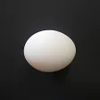 Egg 8