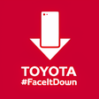 프로그램 아이콘: Face it down