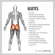All Glutes Exercises