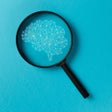 Icoon van programma: iSearch Biomed