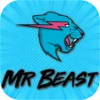 mr beast challenge