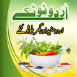 程序图标：Urdu Totkay