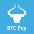 程序图标: BFC Pay