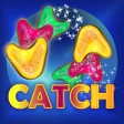 程序图标：Catch Sweets