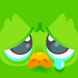 Icon of program: Duolingo - Language Lesso…