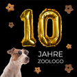 Icoon van programma: ZOOLOGO