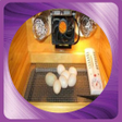 プログラムのアイコン：Learn to make an egg incu…