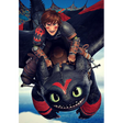 Icon of program: toothless and hiccup