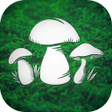 Ícone do programa: Real Mushroom Hunting Sim…