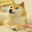 Icon of program: Doge Meet