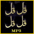 プログラムのアイコン：4 Quls MP3
