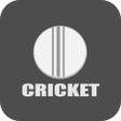 程序图标：Cricket OUT or NOT