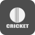 Cricket OUT or NOT