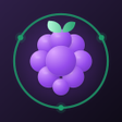 Icono de programa: Berry VPN: Fast Secure P…