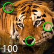 プログラムのアイコン：Spot the Differences 100