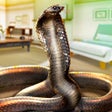 Ícone do programa: Venom Cobra Snake Simulat…