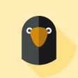 程序图标：BNU-Crow 2