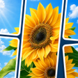 プログラムのアイコン：Jigcard Explorer Solitair…