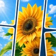 프로그램 아이콘: Jigcard Explorer Solitair…