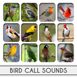 程序图标：Bird Calls Sounds