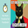 Icon of program: No More Timeline for Face…