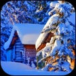 程序图标：Winter Wallpaper 4K