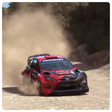 プログラムのアイコン：Wallpapers for Dirt Rally…