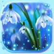 プログラムのアイコン：Snowdrops Blue Live Wallp…