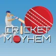 CricketMayhem: 2D Cricket Game