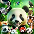 أيقونة البرنامج: Animal Guess Quest: Zoolo…