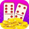 程序图标：Domino Evolution