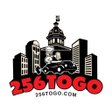 程序图标：256togo.com