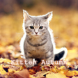 プログラムのアイコン：Kitten Autumn CatTheme