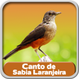 程序图标：Cantos de Sabiá Laranjeir…