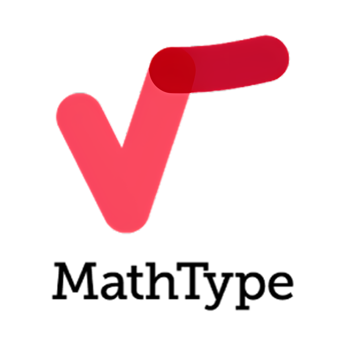 MathType