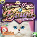Glamour Puss Bingo