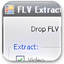 FLV Extract