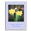 Belltech Greeting Card Designer