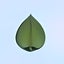 Instant Messenger Cleaner (ex MSN Virus Cleaner)